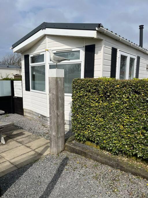 Chalet + Tiny House Nabij Strand Petten Bagian luar foto