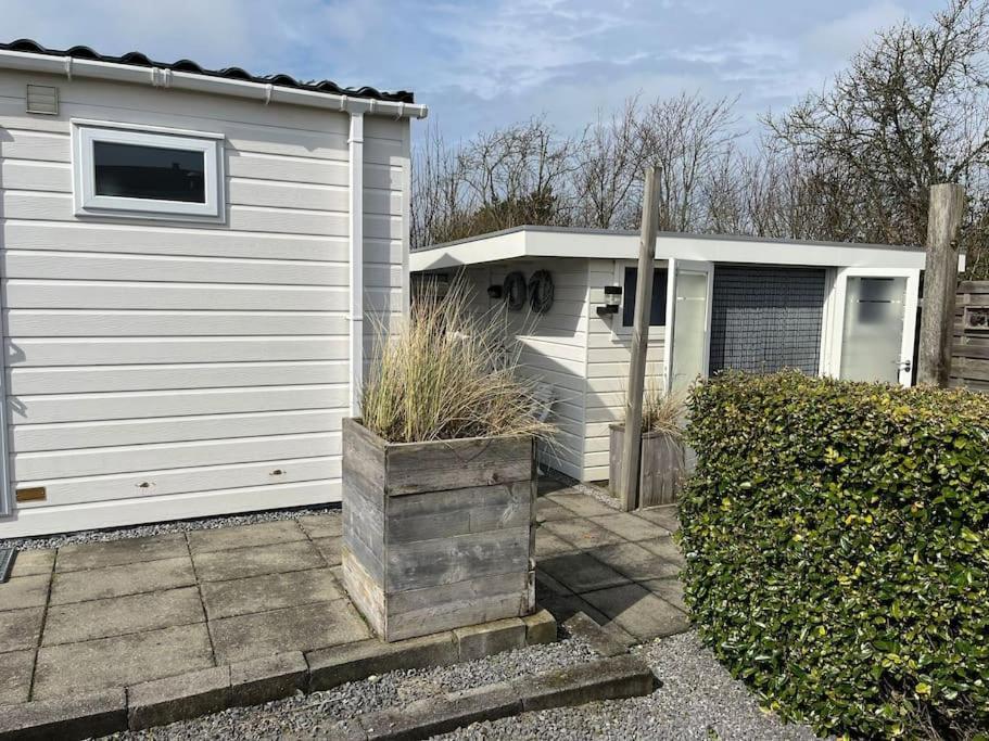 Chalet + Tiny House Nabij Strand Petten Bagian luar foto
