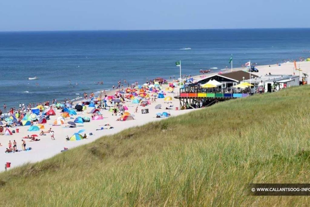 Chalet + Tiny House Nabij Strand Petten Bagian luar foto